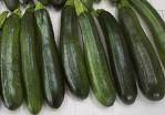 zucchini banner
